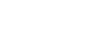 Tesla Authorized Partner